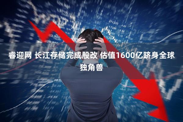 睿迎网 长江存储完成股改 估值1600亿跻身全球独角兽